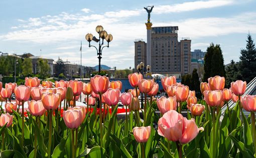 В этом году в Киеве высадят миллионы разных цветов